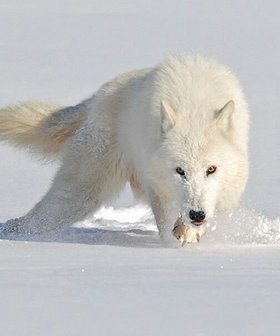 Najładniejsze zdjęcie użytkownika gpg1 - 