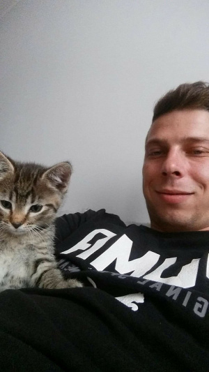 cat, pet