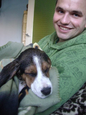 dog, pet