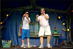 fun, event, concert, song