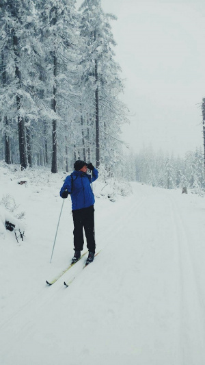 fun, sports, skiing