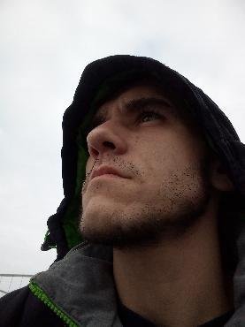 hair, beard