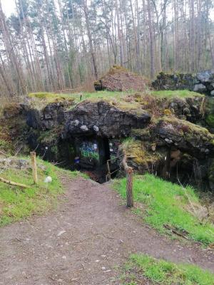 forest, rock