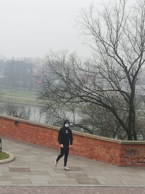 wall