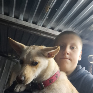 dog