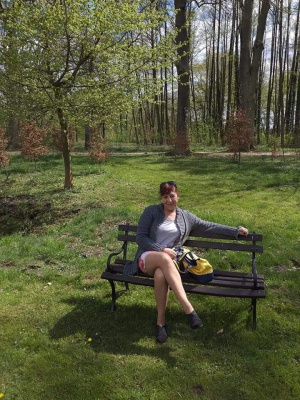 sitting, leisure, forest, chair, bench