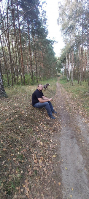 forest, vehicle, soil