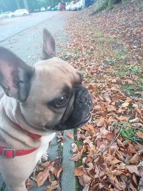 Najładniejsze zdjęcie użytkownika Miras1207 - 