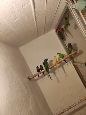 Najładniejsze zdjęcie użytkownika kris91r - 