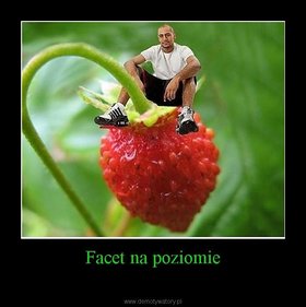 Najładniejsze zdjęcie użytkownika kkrzynow - 