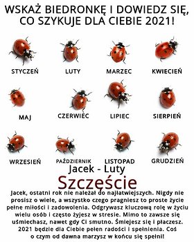 Najładniejsze zdjęcie użytkownika KapturskiJ - 