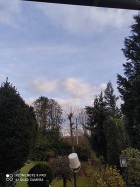 Najładniejsze zdjęcie użytkownika Weelli - 