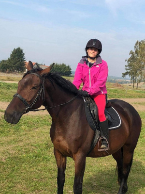 hair, horse, bridle, rein, sports, helmet
