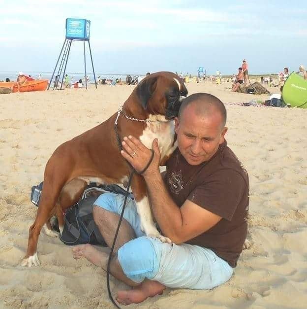 fun, vacation, dog, pet, beach