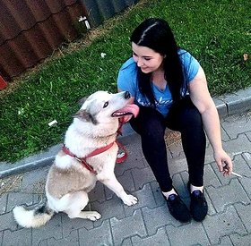 Najładniejsze zdjęcie użytkownika Wysmienita