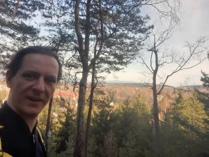 smile, sky, forest, branch, plant