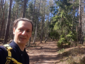 smile, forest