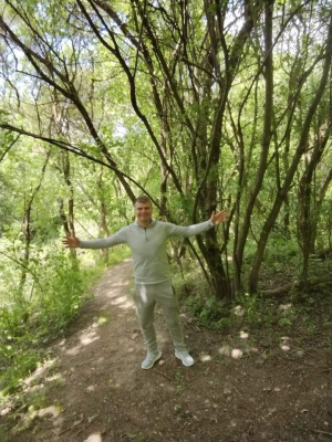 forest, branch, plant