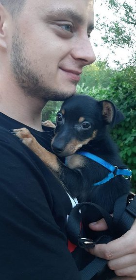 Najładniejsze zdjęcie użytkownika Przemo2828 - 