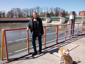 dog, pet