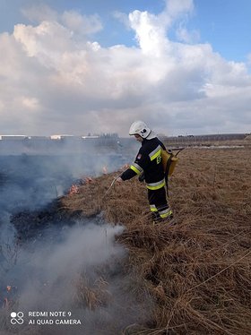 Najładniejsze zdjęcie użytkownika domzwi4148 - 