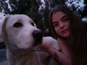 dog, pet