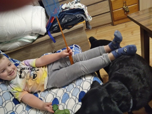 dog