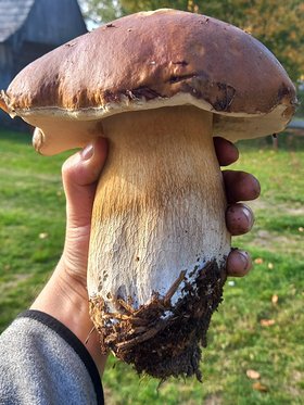 Najładniejsze zdjęcie użytkownika maro40 - 