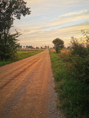 field, sky, road, soil, infrastructure
