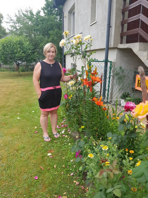 dress, petal, plant, flower, garden