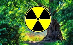 Najładniejsze zdjęcie użytkownika zychun26 - 