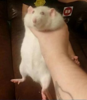 Najładniejsze zdjęcie użytkownika zgon - 