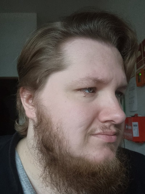 hair, selfie, ear, dude, beard, moustache