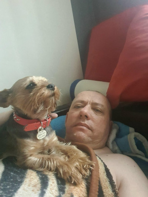 fun, ear, dog