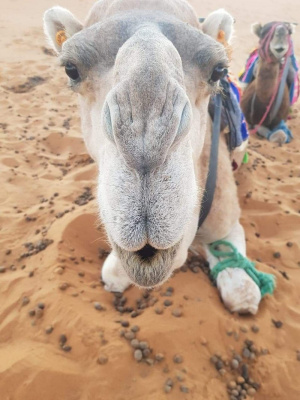 sand