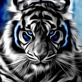 Najładniejsze zdjęcie użytkownika Ania8276 - 