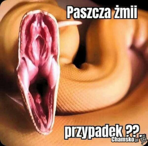 mouth, muscle