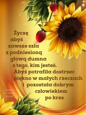 food, petal, plant, flower