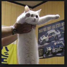 Najładniejsze zdjęcie użytkownika KrbckyM - 