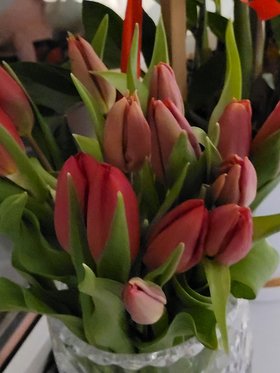 Najładniejsze zdjęcie użytkownika panieneczka454