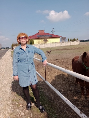 horse