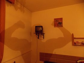 Najładniejsze zdjęcie użytkownika TomaszCwi - 