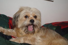 Najładniejsze zdjęcie użytkownika Marita1998 - 