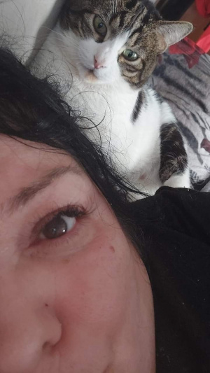 mouth, skin, selfie, ear, cat