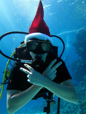underwater, swimming, sports, scuba-diving