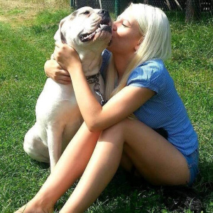 dog, pet