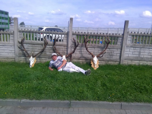 leisure