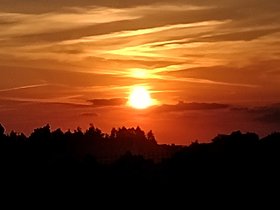 Najładniejsze zdjęcie użytkownika Fidget1821 - 