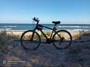 sky, vehicle, beach, bicycle, wheel, cycling