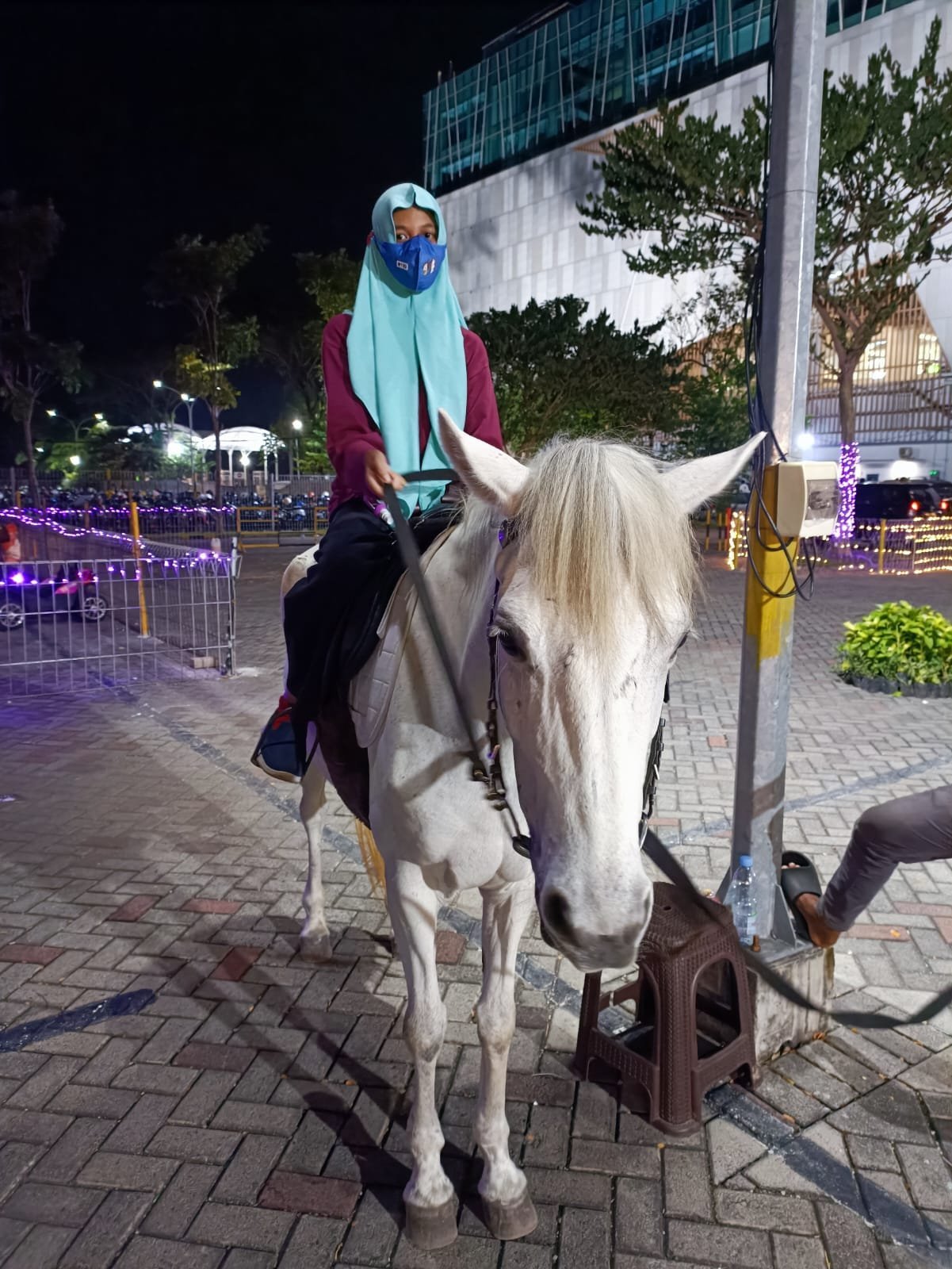 hair, horse, bridle, rein
